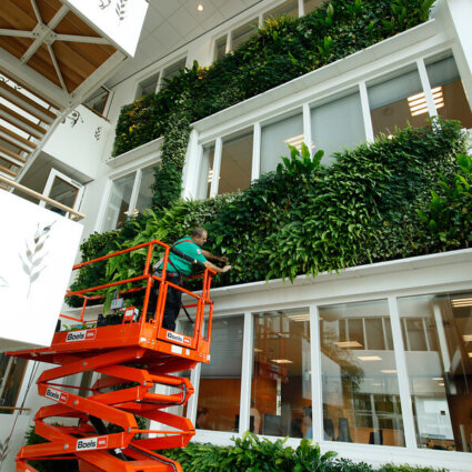 Interieurbeplanter gezocht