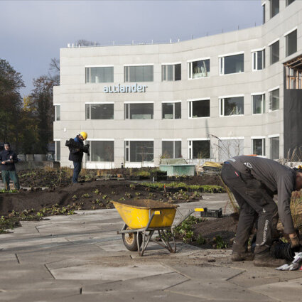 Daktuinen Alliander Arnhem