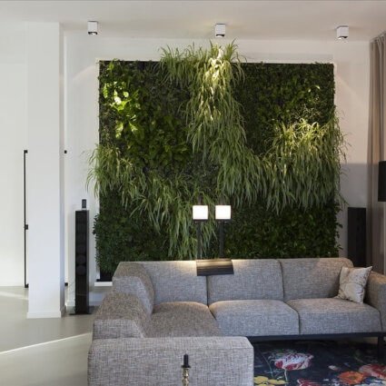 Groene wanden in Stadspatio
