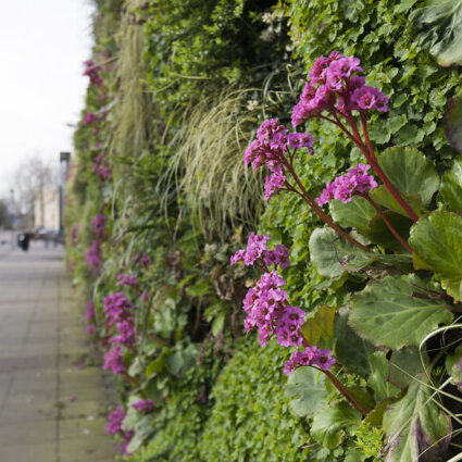Groene gevel winkelcentrum
