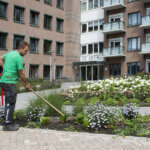 Tuinonderhoud bij bedrijven