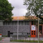 Sedumdak