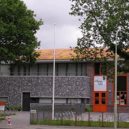 Sedumdak