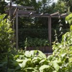 Aanleg particuliere tuin Huizen