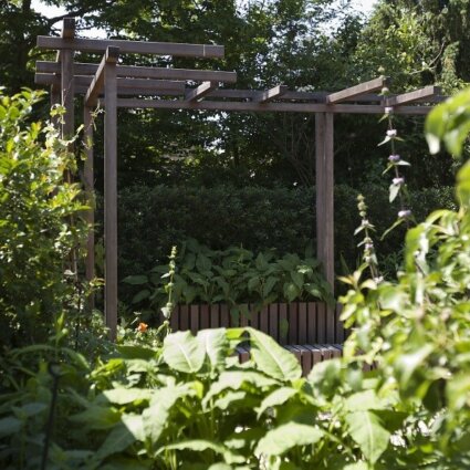 Aanleg particuliere tuin Huizen
