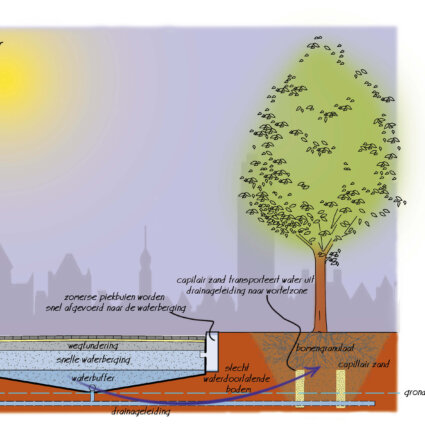 De Klimaatboom
