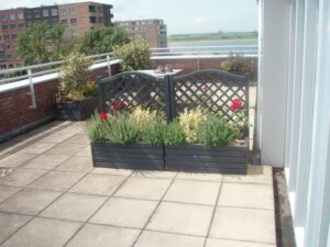 Een groene oase balkon