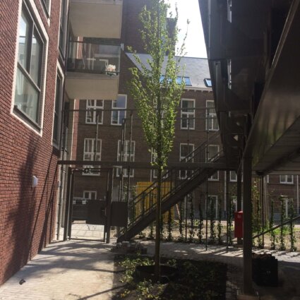 Parkeerdek studentencomplex Clusius