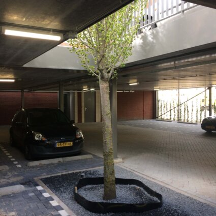 Parkeerdek studentencomplex Clusius