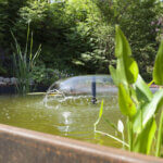 Particulier in Soest