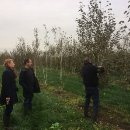 Bomen voor circulaire woontoren Amsterdam