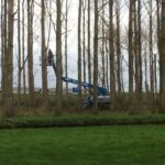 Productiebos tot recreatiebos