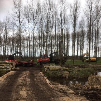 Productiebos tot recreatiebos