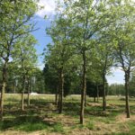 Rijkskantoor De Knoop Utrecht