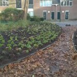 Stadspark in Delft - De Koninklijke Ginkel Groep