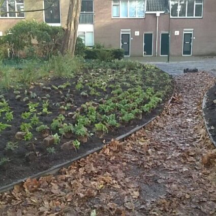 Stadspark in Delft - De Koninklijke Ginkel Groep