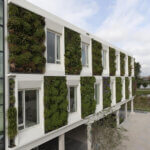 Groene gevel als tuininrichting