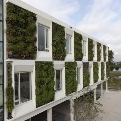 Groene gevel als tuininrichting