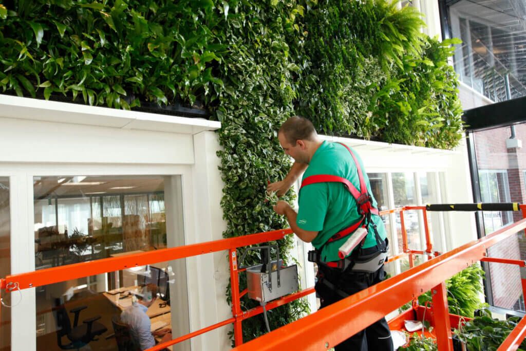 Interieurbeplanting plaatsen