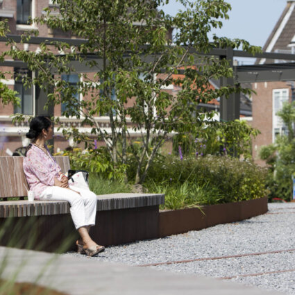 openbare omgeving