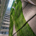 Groene wand