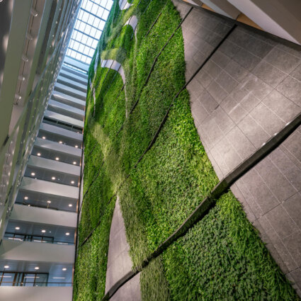 Groene wand