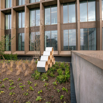Tuin EMA Amsterdam