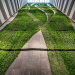 Groene wand