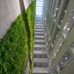 Groene wand