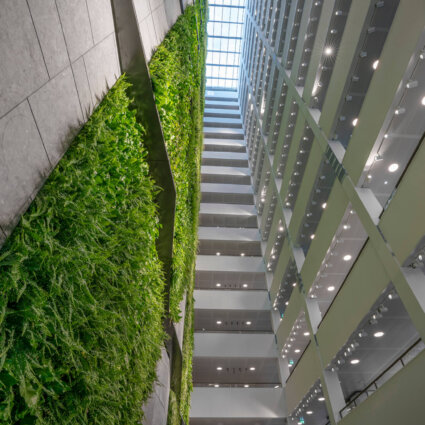 Groene wand