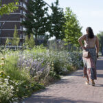 Openbare omgeving