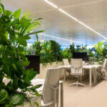 Interieurbeplanting