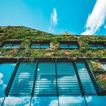 Groen gebouw zijaanzicht