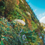 Groen gebouw close up
