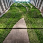 Groene wand