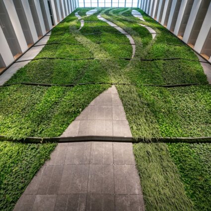 Groene wand
