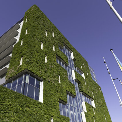 Groen gebouw