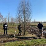 Bomen planten