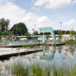 Natuurlijk zwemmen De Loete