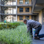 Plant planten