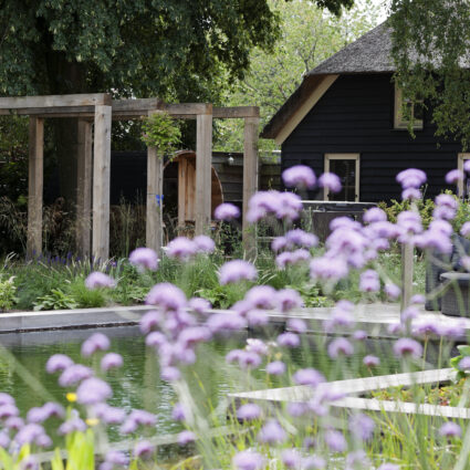 Zwemvijver in tuin