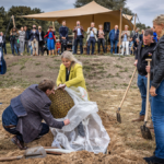 Natuurgebied turfweide in Veenendaal