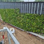 WPB Eindhoven aanleg groengevel