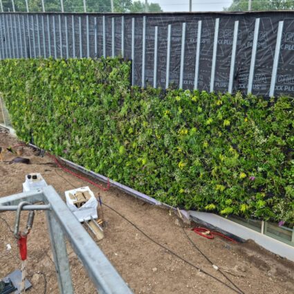 WPB Eindhoven aanleg groengevel