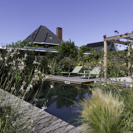 Particuliere tuin Rotterdam