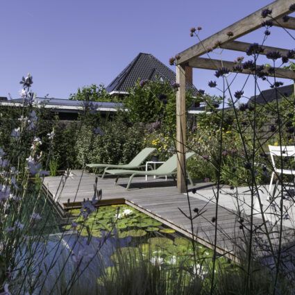 Particuliere tuin Rotterdam