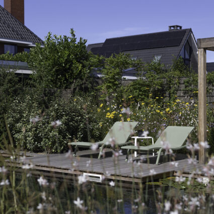 Particuliere tuin Rotterdam