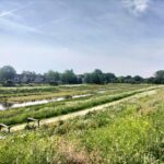 Turfweide Veenendaal