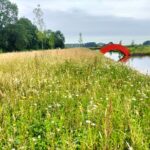 Landgoed Verboom