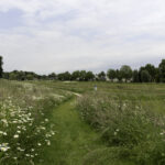 Turfweide Veenendaal